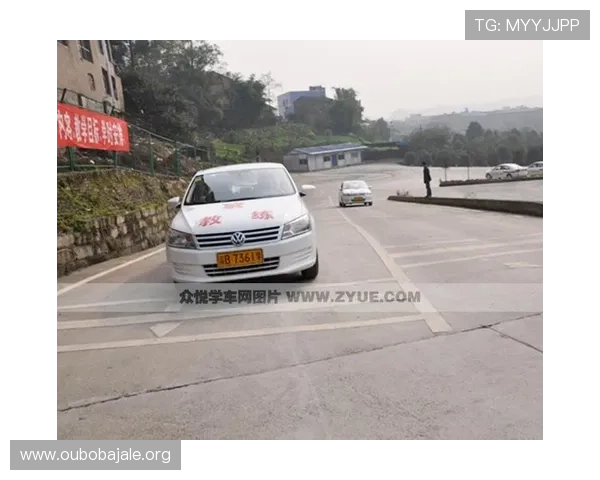 欧博app登录页面频繁无法访问的常见原因及专业修复指南 欧博app登录页面频繁无法访问的常见原因及专业修复指南