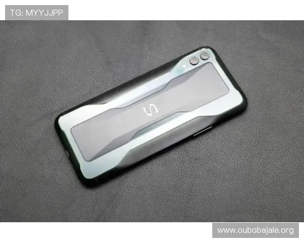 欧博手机版app下载官网操作流程详解，帮助用户轻松下载安装并快速上手游戏